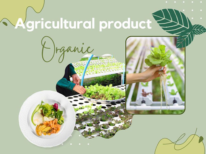 Nông sản Organic hay sản phẩm hữu cơ